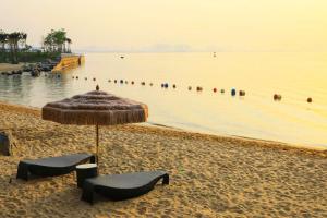 厦门厦门佰翔五通酒店（尊享欢迎果盘）的海滩上设有两把椅子和一把遮阳伞,水面上