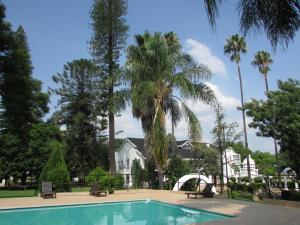 贝拉贝拉Luxury Hotel in Bela Bela chateau的棕榈树屋前的游泳池