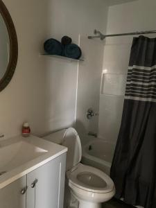 印第安纳波利斯Sweet Home IN的浴室配有卫生间、盥洗盆和淋浴。