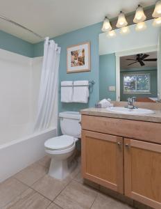 桦木湾世誉桦树湾酒店的一间带卫生间、水槽和镜子的浴室