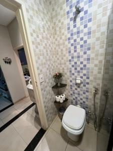里奥韦尔迪AconcheganteQuarto的一间带卫生间和淋浴的浴室