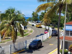 多拉多Dorado Beach Condo的一条有汽车停在一条棕榈树道路上的街道