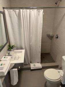 迈阿密普昂斯里昂酒店的浴室配有白色的浴帘和卫生间