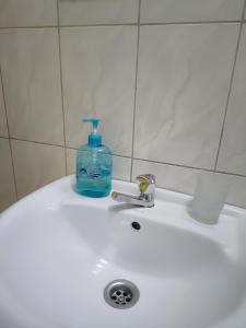 金贾Amaryllis blue,8mins source to River Nile,secure, peaceful, central great location的白色水槽顶部的一瓶肥皂