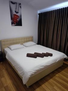 切尔诺夫策Mirage的床上有2个棕色枕头的床