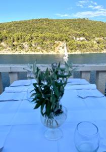 普契什查Lučica, Luxury Rooms By the Sea的一张桌子,上面有花瓶,上面有植物