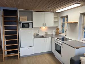 伊卢利萨特Whale View Vacation House, Ilulissat的小厨房配有白色橱柜和电器
