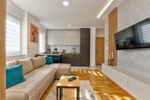 兹拉蒂博尔Apartman Hanah Vip Bogic的带沙发的客厅和厨房