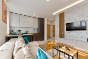 兹拉蒂博尔Apartman Hanah Vip Bogic的带沙发的客厅和厨房
