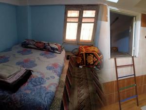 阿斯旺david hostel的一间卧室配有一张双层床和梯子
