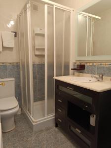康达Apartamentos Astilleros的带淋浴、卫生间和盥洗盆的浴室