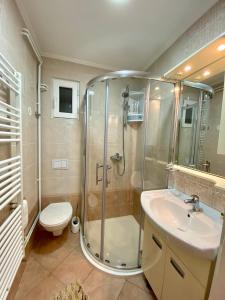 木洛希尼Apartments Leila的带淋浴、卫生间和盥洗盆的浴室