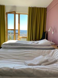 延雪平Svf Hotell & Konferens的带2扇窗户的客房内的2张床