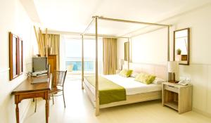 圣米格尔德阿沃纳Hotel Tenerife Golf & Seaview的一间卧室配有一张床、一张书桌和一台电视