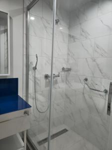 巴统Welcome To Batumi的浴室里设有玻璃门淋浴