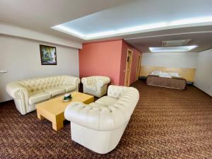 泽尼察Hotel Zenica的酒店客房设有两张沙发和一张床