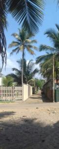 卡卢特勒Kuchi Villa的背景是棕榈树的白色围栏