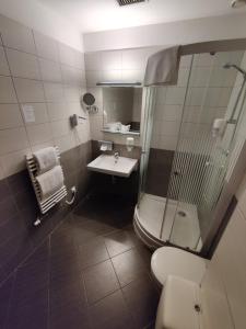 佩奇索皮阿娜精品酒店的一间带水槽、淋浴和卫生间的浴室