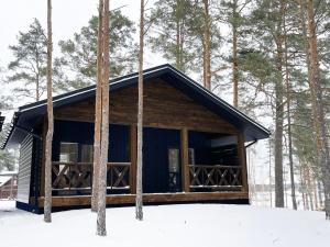 StrasheveZaliv的雪中树林里的小木屋