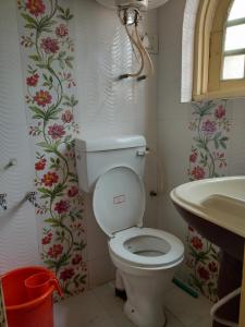 斯利那加Fabulous Kashmir Srinagar的一间带卫生间和水槽的浴室