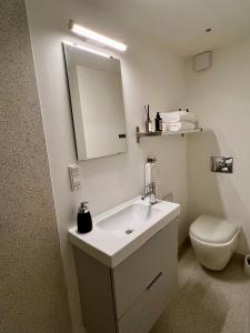 斯坎讷堡Small cosy appartment的一间带水槽、卫生间和镜子的浴室