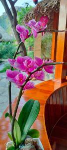 Xuân SơnHang Mua Eco Garden的一张桌子上花瓶里的一组粉红色花