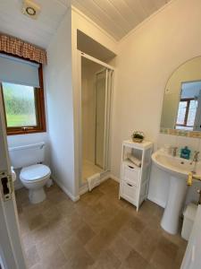 巴洛赫Walled Garden Lodges Loch Lomond的一间带卫生间、水槽和镜子的浴室