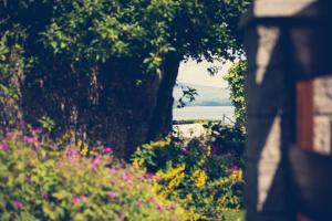 巴洛赫Walled Garden Lodges Loch Lomond的种有粉红色花卉和树木的花园