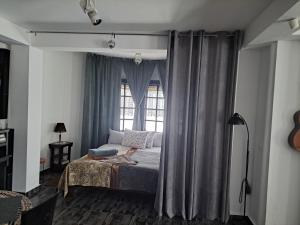 希普卡Gnezdo Studio Apart的一间卧室设有一张床和一个窗口