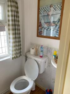 卡马森Barn Owl Cottage, The Welsh Reindeer Retreat, Ystradfach Farm , Llandyfaelog, Carmarthen , SA17 5NY的浴室配有白色卫生间和盥洗盆。