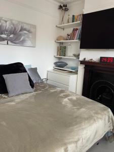 克罗伊登Rose的一间卧室配有一张带壁炉和电视的床。