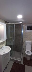 特拉夫尼克Villa SHAMS的带淋浴、卫生间和盥洗盆的浴室