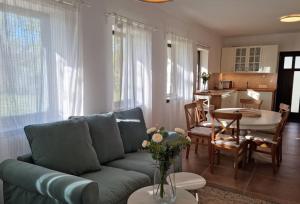 基什孔毛伊绍Cottage im Natur-Resort Pool, Schwimmteich & Sauna的一间带蓝色沙发的客厅和一间厨房