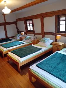 RebiszówRębiszów 50的配有木地板和窗户的三张床
