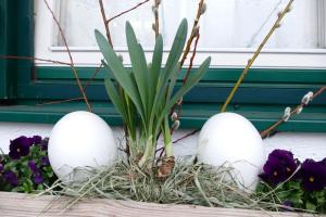 莱奥冈格伦沃尔德美食酒店的植物巢中的三个鸡蛋
