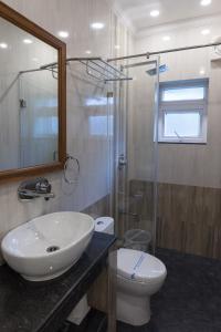 巴加2 Bedroom Apartment in Resort on Candolim Beach的一间带水槽、卫生间和淋浴的浴室