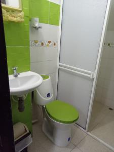 辛塞莱霍HOTEL MI RANCHITO的浴室配有绿色卫生间和水槽。