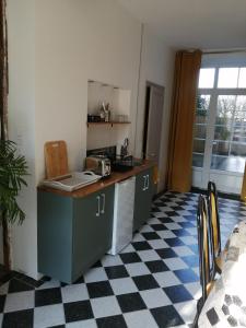 昂古莱姆Au Logis de Véchillot的厨房设有柜台和 ⁇ 制地板