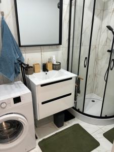 比托姆Apartament Piekarska Oficyna的一间带洗衣机和水槽的浴室