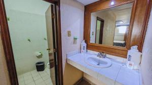 墨西哥城Hotel Plaza San Juan的一间带水槽和镜子的浴室