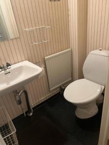 斯德哥尔摩Home Stays-Private Rooms in a Villa Near City for families/Individuals的浴室配有白色卫生间和盥洗盆。