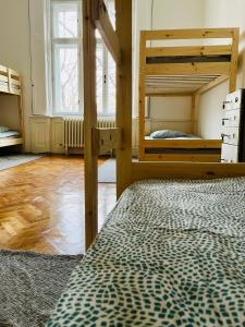 诺维萨德Hostel Green World的一间设有两张双层床和地毯的房间