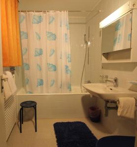 阿罗萨梅扎普那达酒店的一间带水槽和淋浴帘的浴室