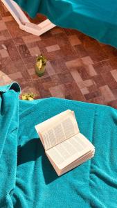 提兹尼特Hotel Idou Tiznit的坐在一张桌子上蓝色毯子上的书