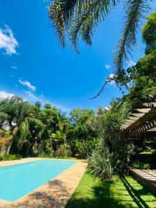 贝洛奥里藏特Casa de Campo Pampulha的棕榈树花园中的游泳池