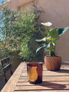 普罗旺斯艾克斯Le Mini - Un voyage en Provence的木桌,上面有植物和杯子