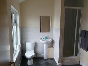 利兹布鲁克菲尔德酒店的浴室配有卫生间、盥洗盆和淋浴。