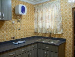 BortianorSTEPMENS GUEST HOUSE的厨房配有水槽和浴帘