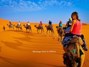 梅尔祖卡Merzouga Tents © Official的一群人骑着骆驼在沙漠中