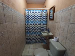莫约加尔帕Ometepe House的带淋浴、卫生间和盥洗盆的浴室